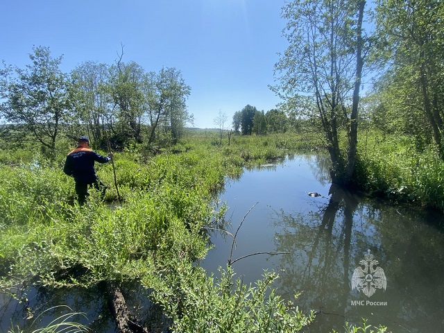 71-летний мужчина утонул в реке Степной Зай в Татарстане