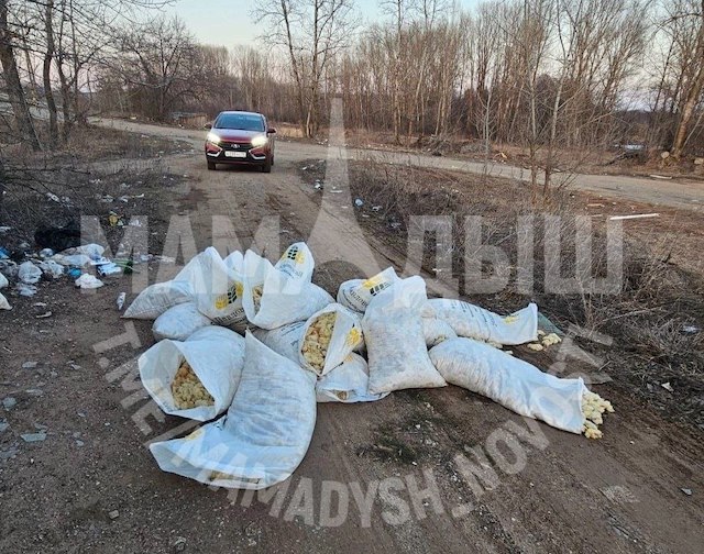 Тревожная находка: неизвестный выбросил мешки с мертвыми цыплятами в мамадышском лесу