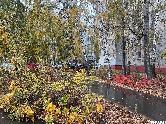 Татарстанда иртән урыны белән бераз яңгыр явачак
