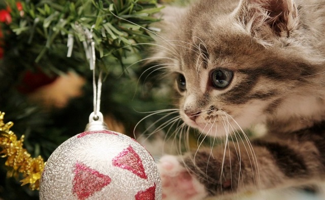 Елның соңгы көнендә Татарстанда кар һәм буран көтелә