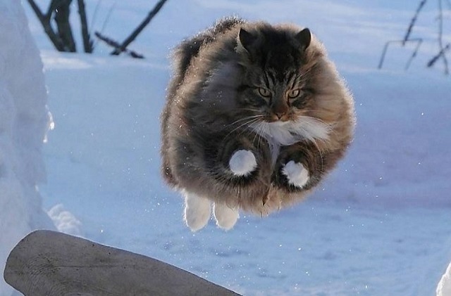 Гыйнварның соңгы көненә һава торышы!