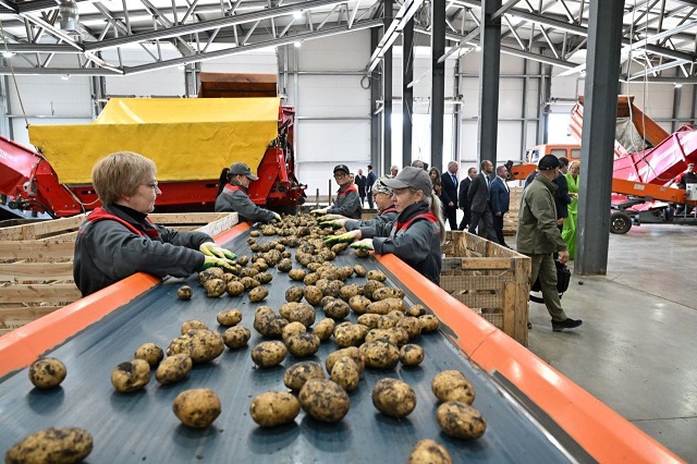 Минниханов рассказал подробности о новом заводе по переработке картофеля «Чисто Фри»