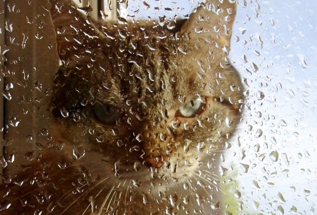 Ялларда Татарстанда көчле яңгыр яварга мөмкин