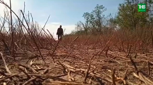 В двух деревнях Буинского района открыли мемориальные доски погибшим бойцам