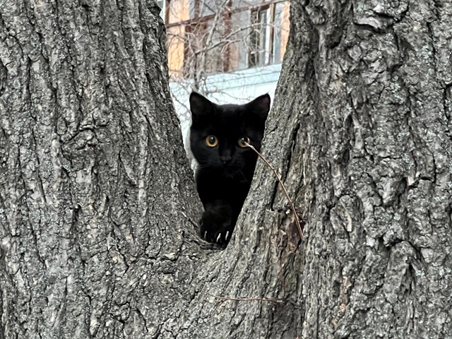В конце выходных Татарстан окажется в поле повышенного атмосферного давления