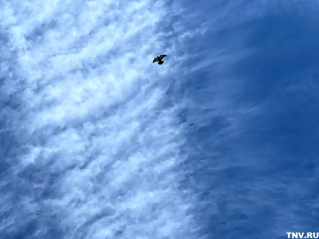 Под влиянием барического поля: погода недели в Татарстане