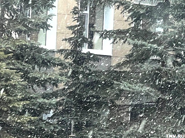 Жителей Татарстана предупредили о снеге, гололедице и ветре до 23 м/с