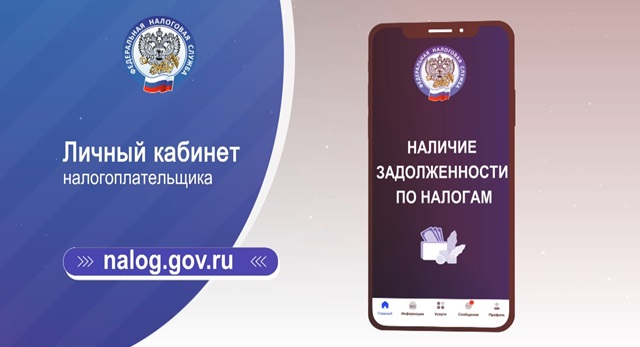 Жителям Татарстана рассказали, как проверить наличие налоговой задолженности