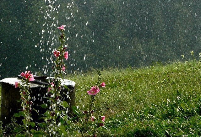 Метеоролог ответил, придет ли в Татарстан циклон, обрушивший на Москву месячную норму осадков