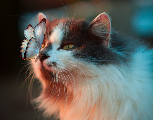 Җил тына һәм кояш чыга: 17 апрель нинди булыр?