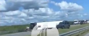 Молодожёны из Казани попали в больницу после крупного ДТП в Доминикане