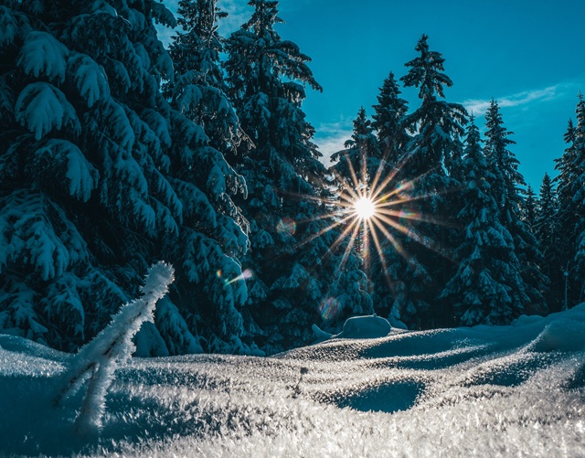 Крепкие январские морозы анонсировал Вильфанд в столичном регионе 