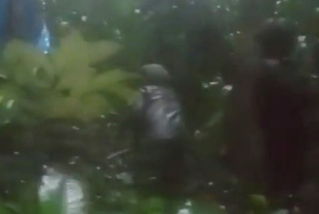 Четырех детей нашли живыми спустя 16 дней после крушения самолета в Колумбии