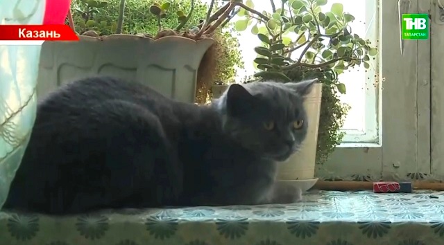 Нежеланная жара в квартирах: жителям Казани ответили, можно ли добиться перерасчета