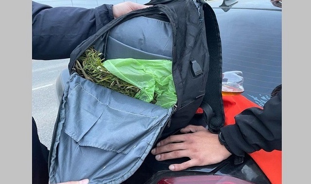 В Татарстане у 22-летнего пассажира такси нашли почти килограмм конопли