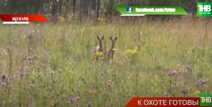 В Татарстане разыграли разрешения на законную охоту - видео