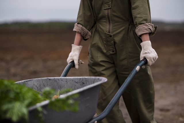 Зяббаров: в РТ посевная кампания наращивает темпы