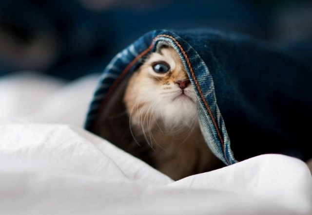 Ялларда Татарстанда суытачакмы?