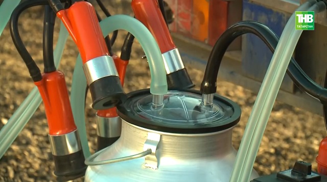 Минзәлә районында 53 гаиләгә сыер саву аппараты бүләк иттеләр