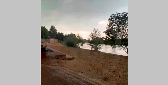 Рухнувшее во время сильного ливня дерево насмерть придавило дедушку с внуком в Подмосковье