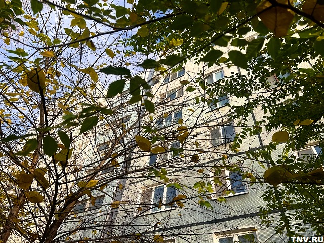 Осень пока не уступит место зиме: прогноз до конца недели в Татарстане 