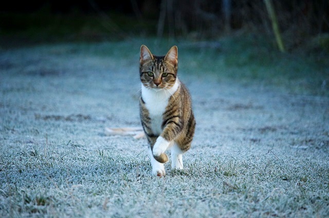 Легкий мороз до -2 градусов ожидается в Татарстане на экваторе октября