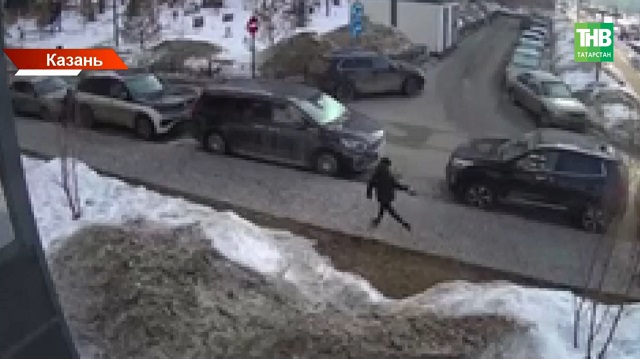 Едва не лишилась пальцев: в Казани собака искусала 12-летнюю девочку и растерзала другого пса