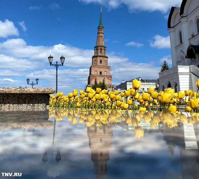 После заключительной ночи заморозков в Татарстан придет тепло до +18 градусов
