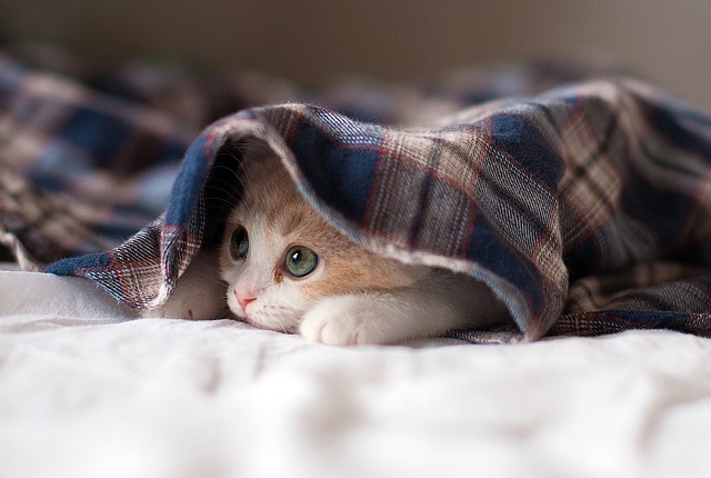 23 августка һава торышы