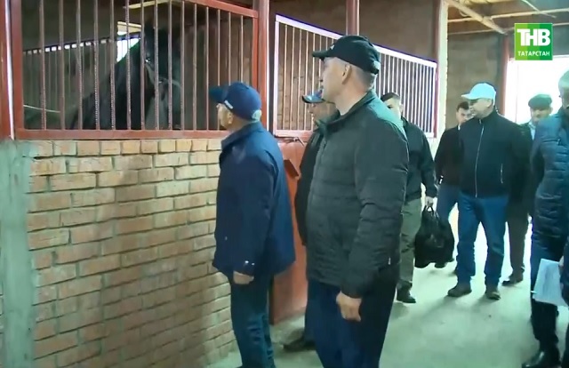 Минниханов посетил уникальный конный завод в Татарстане с рысаками для лидера КНДР