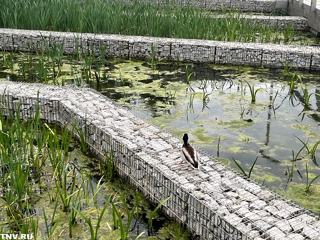 Сильный ветер и небольшие дожди ожидаются в Татарстане в начале выходных