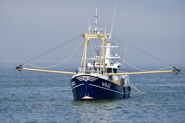 Катер с семью пассажирами сел на мель на Волге в Татарстане