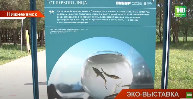 Уникальную эко-выставку «От первого лица» открыли в Нижнекамске