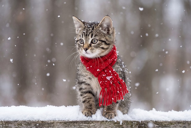 Потепление до -4 градусов ожидается в Татарстане в ближайшие сутки