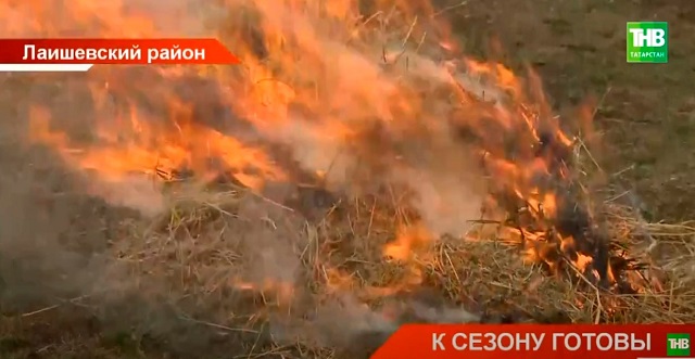 Жителям Татарстана напомнили о штрафах за сельхозпалы