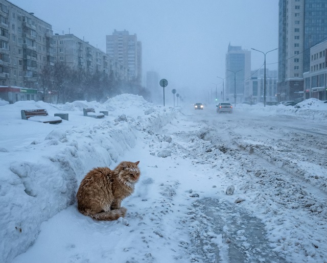 Татарстанда салкын төн көтелә: -29 градуска кадәр суыта, иртән — томан һәм бозлавык