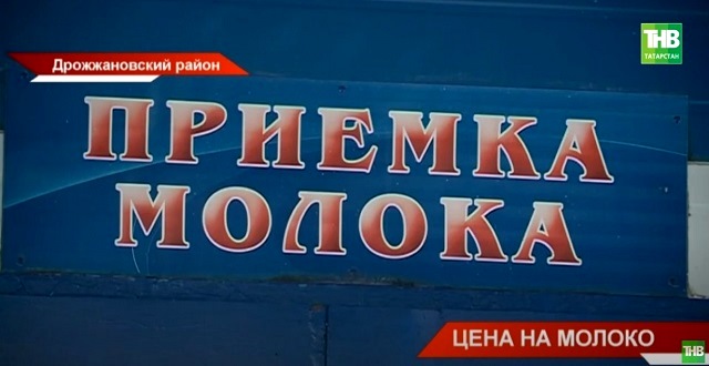 В Дрожжановском районе РТ выясняют причины занижения цен на закупку молока у фермеров