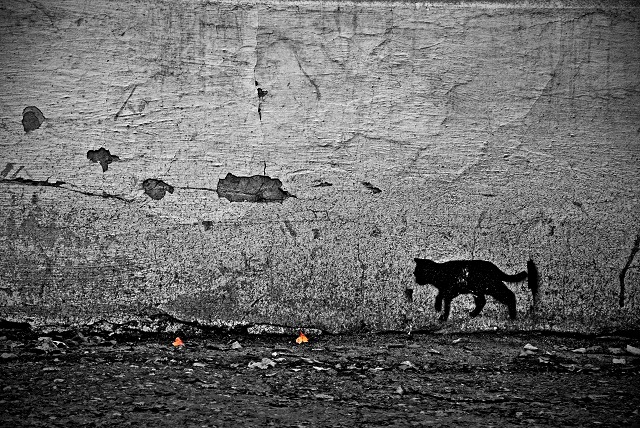 Иртәгә Татарстанда һава -1 градуска кадәр суына