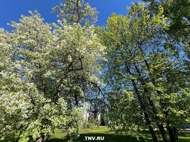 Стало известно, какие сюрпризы преподнесет погода в Татарстане во вторую половину мая