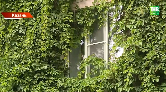 Глэмпинги в Татарстане: как планируют развивать инфраструктуру загородного отдыха?