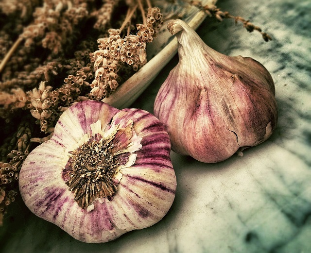 Жителям Татарстана разъяснили, когда, и как сажать озимые чеснок и лук-севок