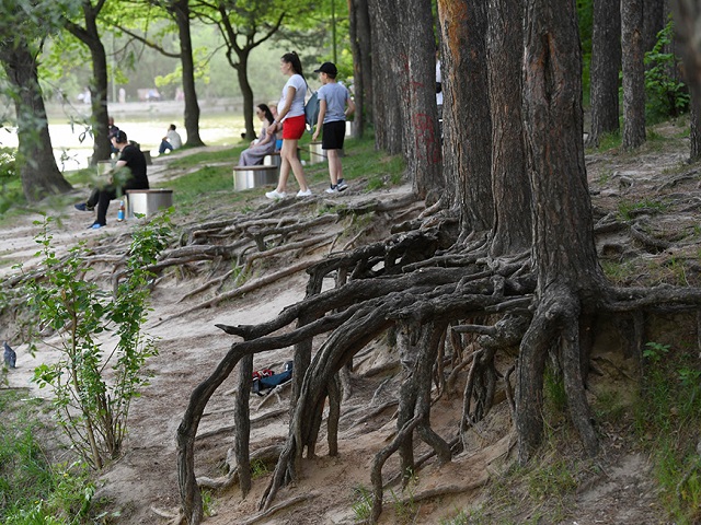 В Казани пройдут соревнования по спортивному ориентированию