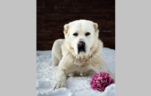 «Матур малай»: Минниханов опубликовал праздничное фото с Акдусом