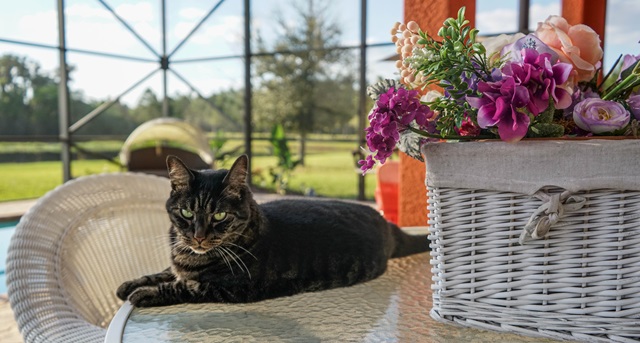 28-градусная жара накроет некоторые районы Татарстана