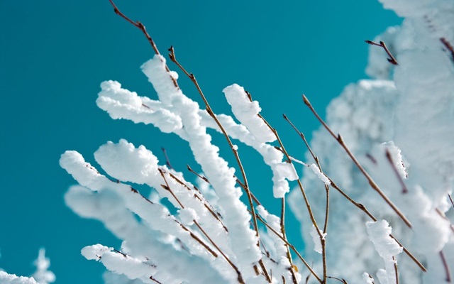 Стало известно, ждать ли Татарстану в феврале повторения январского снежного экстрима