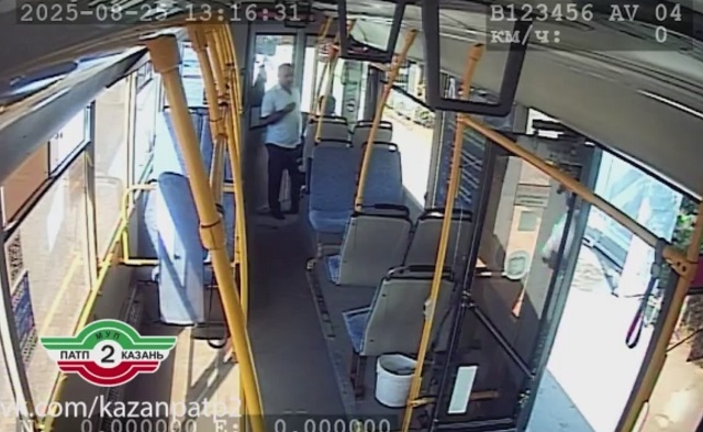 В Казани госпитализировали ребенка, которого в автобусе укусила оса