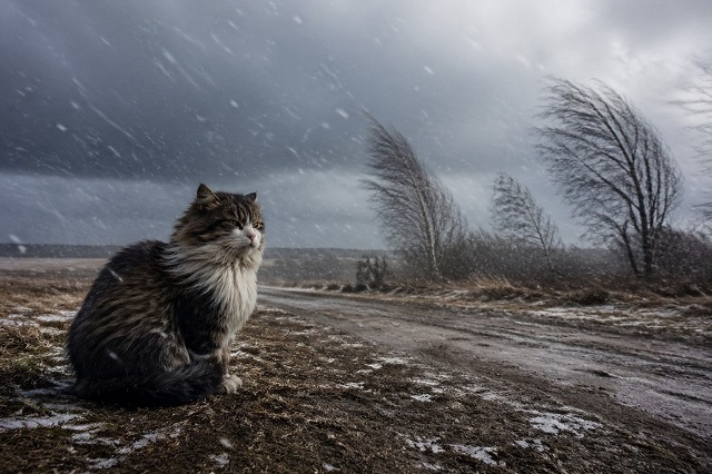 Ураганный ветер и снег: непогода в Татарстане решила задержаться