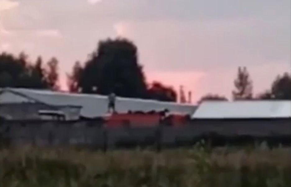 Под Казанью сняли на видео «Камаз» с якобы трупами собак