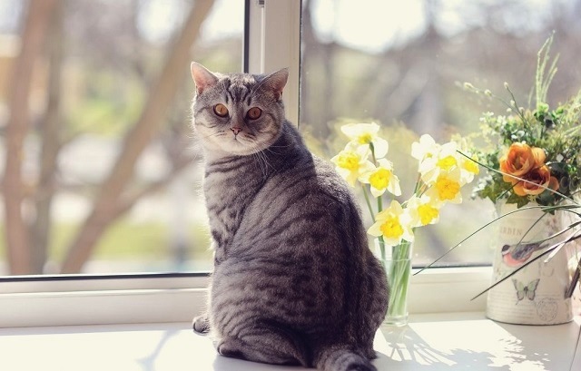 21 март Татарстанда +9 градуска кадәр җылытачак