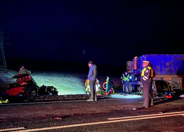 В Татарстане выбежавший на трассу кабан спровоцировал ДТП с двумя погибшими